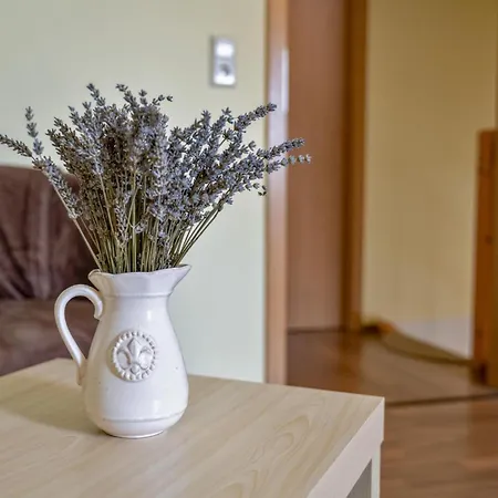 Leana - Saechsische Schweiz Holiday home Hohnstein