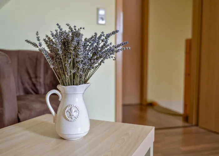 Hohnstein بيت للعطل هونشتاين